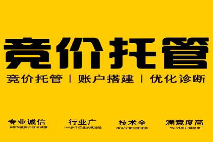 某行业巨头背后的SEM代运营服务公司